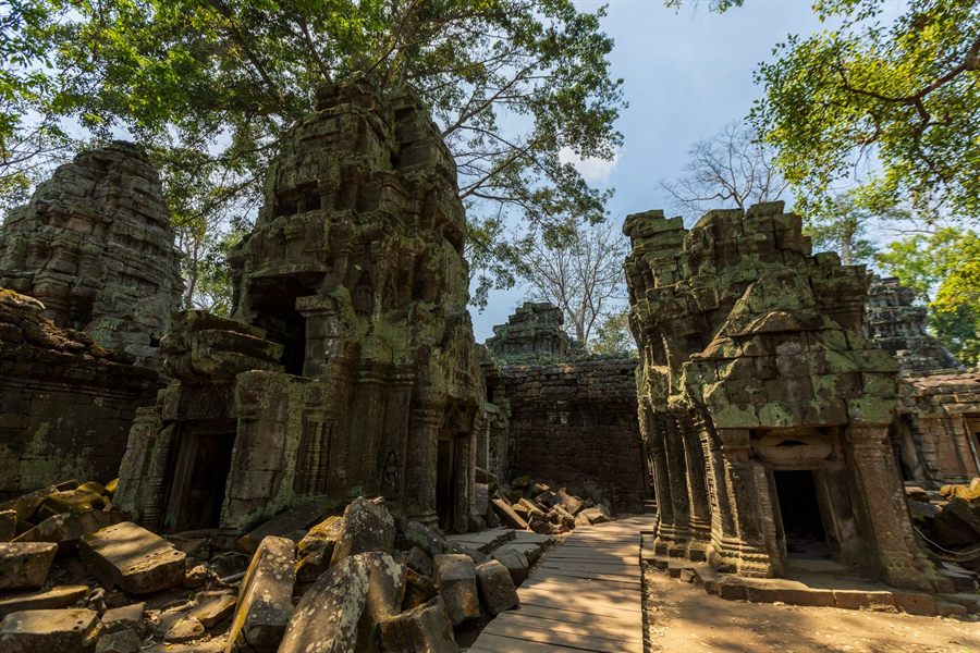 Sunlit stone ruins of Ta Prohm temple framed by trees at Angkor, Cambodia